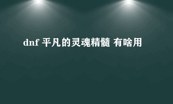 dnf 平凡的灵魂精髓 有啥用