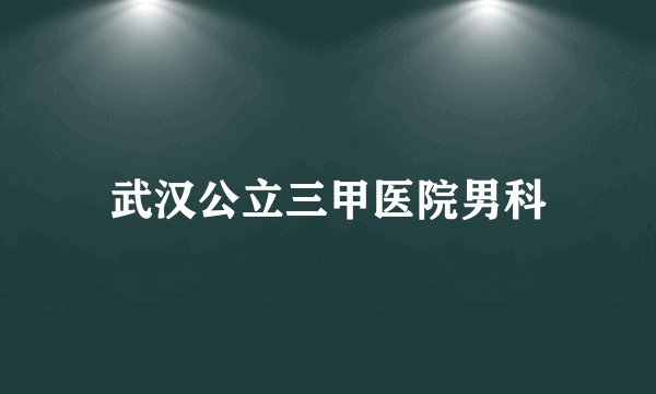 武汉公立三甲医院男科