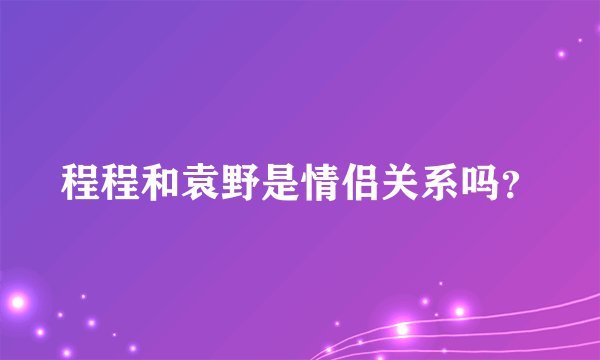 程程和袁野是情侣关系吗？