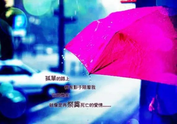 黎小棠傅廷修小说 黎小棠傅廷修免费阅读