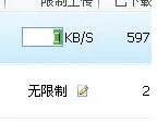 有什么办法提高raysource的下载速度?