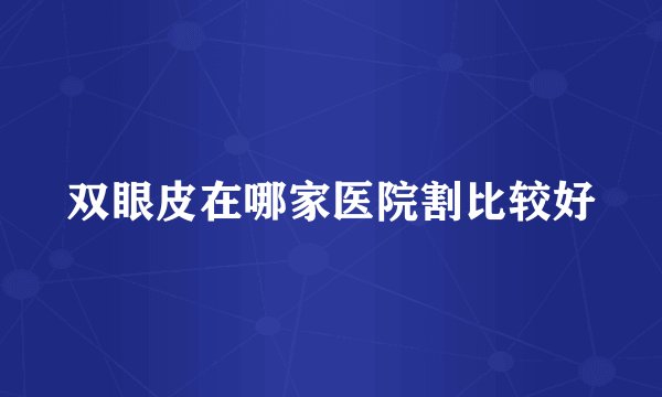 双眼皮在哪家医院割比较好