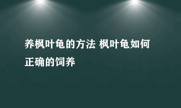 养枫叶龟的方法 枫叶龟如何正确的饲养