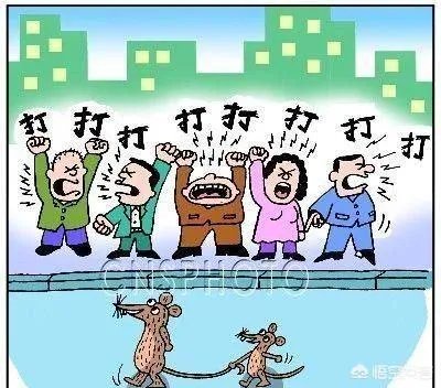 上联,蝉蜕尘埃外。下联怎么对?