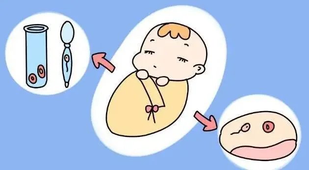 俄罗斯三代试管婴儿成功率如何计算