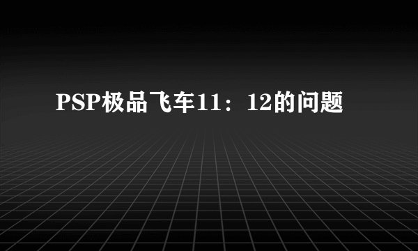 PSP极品飞车11：12的问题