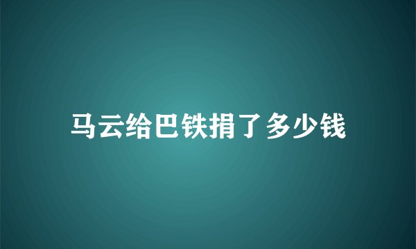马云给巴铁捐了多少钱