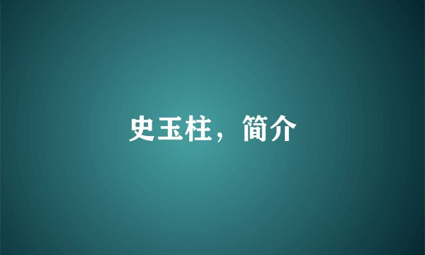 史玉柱，简介