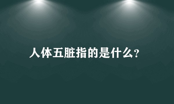 人体五脏指的是什么？