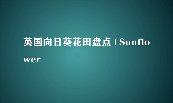 英国向日葵花田盘点 | Sunflower