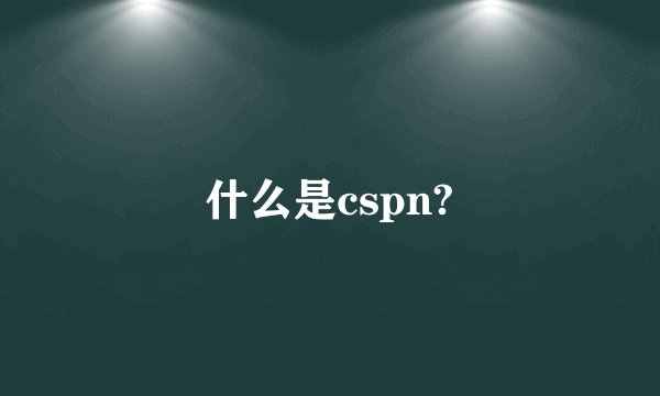 什么是cspn?