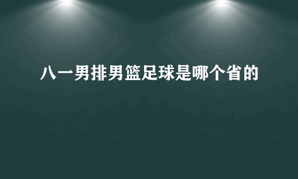 八一男排男篮足球是哪个省的