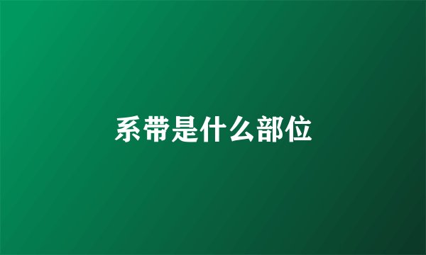 系带是什么部位