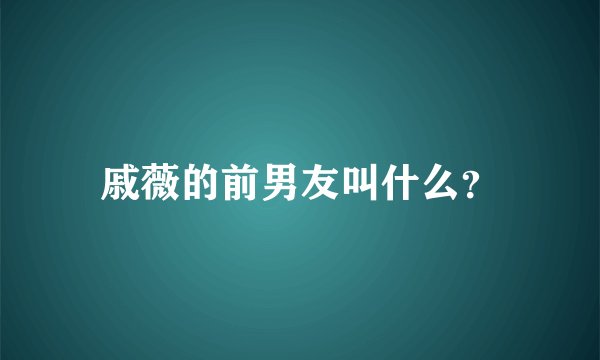 戚薇的前男友叫什么？