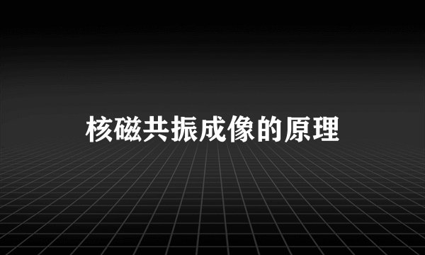 核磁共振成像的原理