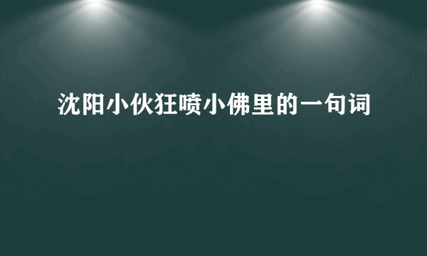 沈阳小伙狂喷小佛里的一句词