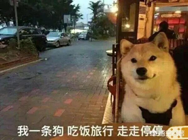 IG拿下S8世界总决赛冠军,王思聪被推上热搜第一,你怎么看?