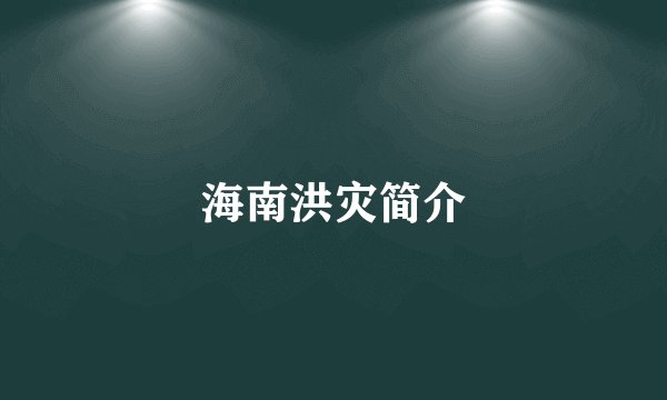 海南洪灾简介