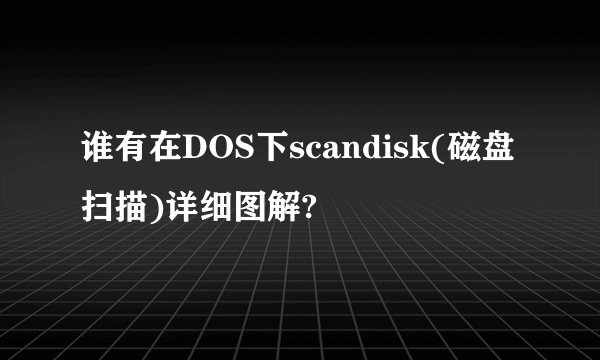 谁有在DOS下scandisk(磁盘扫描)详细图解?