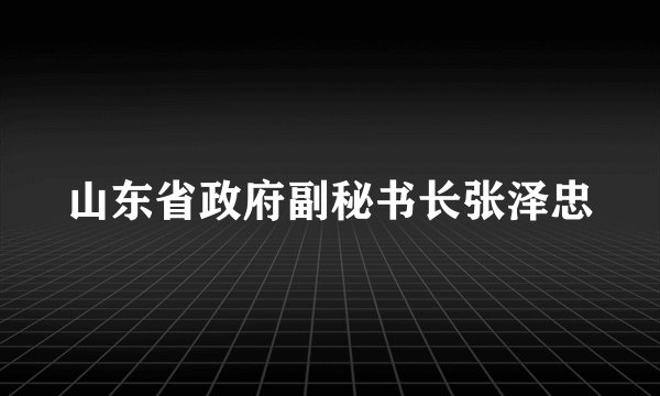 山东省政府副秘书长张泽忠