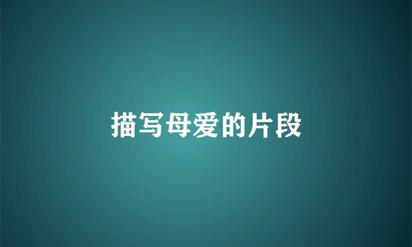 描写母爱的片段