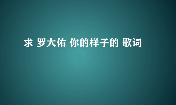 求 罗大佑 你的样子的 歌词
