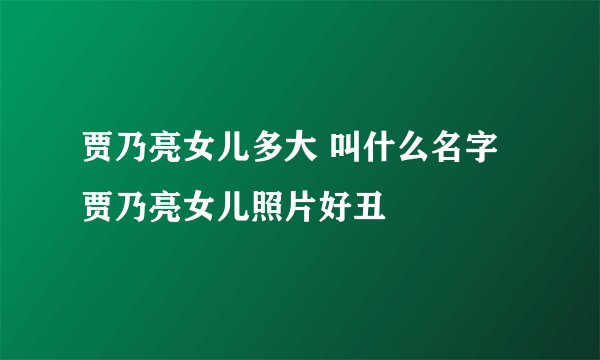 贾乃亮女儿多大 叫什么名字 贾乃亮女儿照片好丑