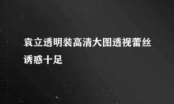 袁立透明装高清大图透视蕾丝诱惑十足