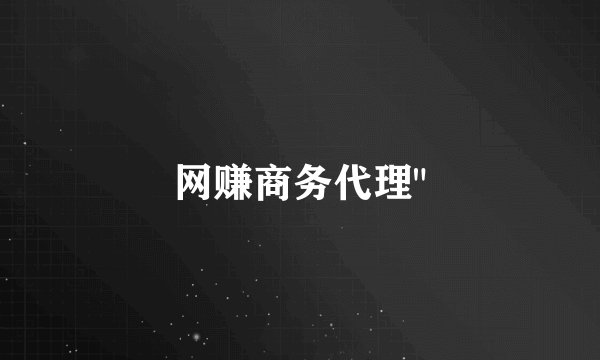 网赚商务代理