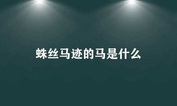 蛛丝马迹的马是什么