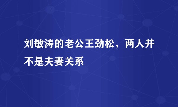刘敏涛的老公王劲松，两人并不是夫妻关系