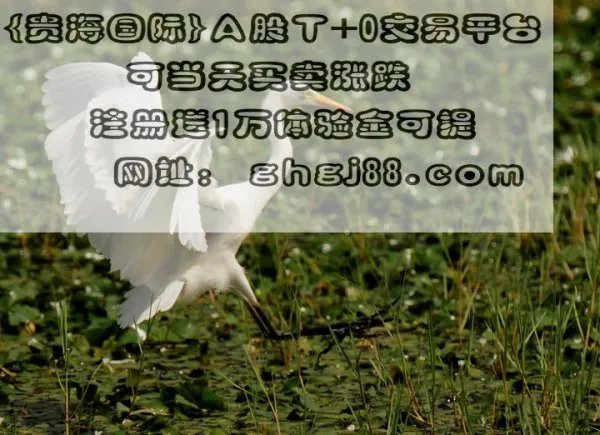 股票各板块龙头?
