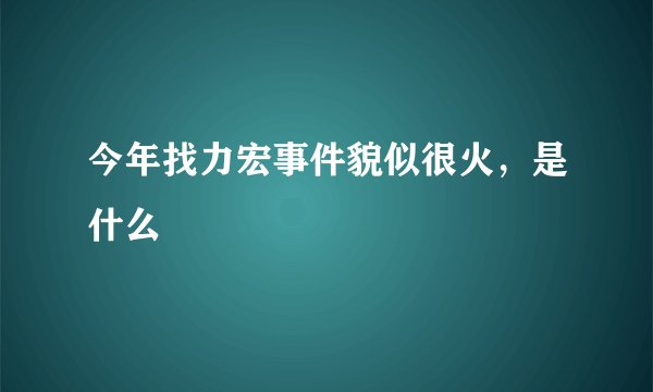 今年找力宏事件貌似很火，是什么