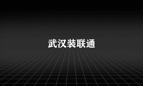 武汉装联通