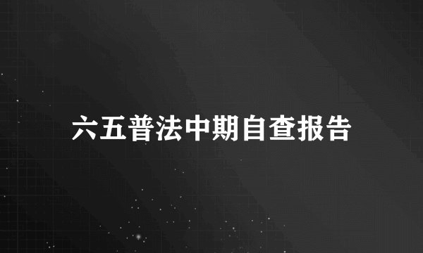六五普法中期自查报告