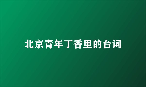 北京青年丁香里的台词