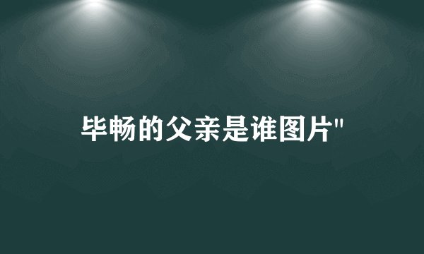 毕畅的父亲是谁图片