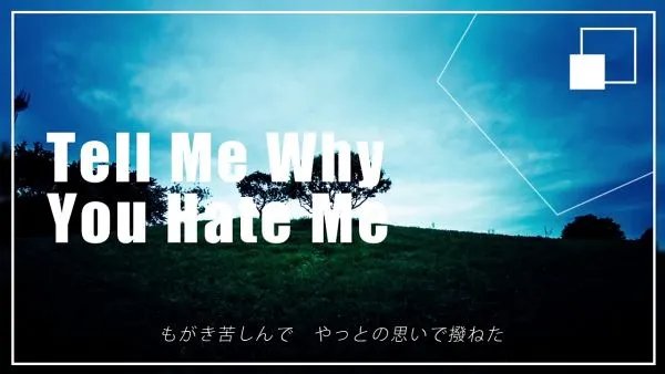 hate怎么念？