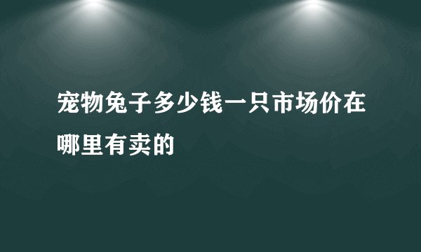 宠物兔子多少钱一只市场价在哪里有卖的