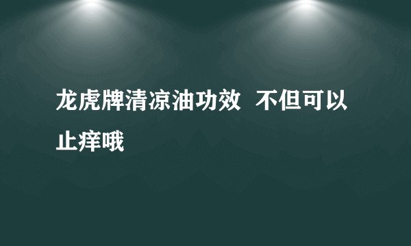 龙虎牌清凉油功效  不但可以止痒哦