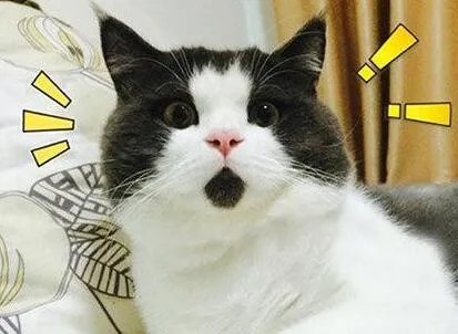 用“但是,我爱你”造一句最好的情话吧?