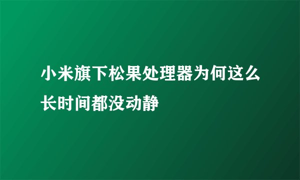 小米旗下松果处理器为何这么长时间都没动静