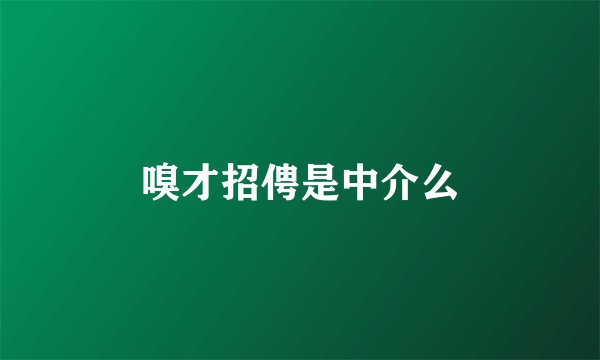 嗅才招俜是中介么