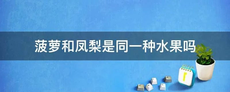 菠萝和凤梨是同一种水果吗