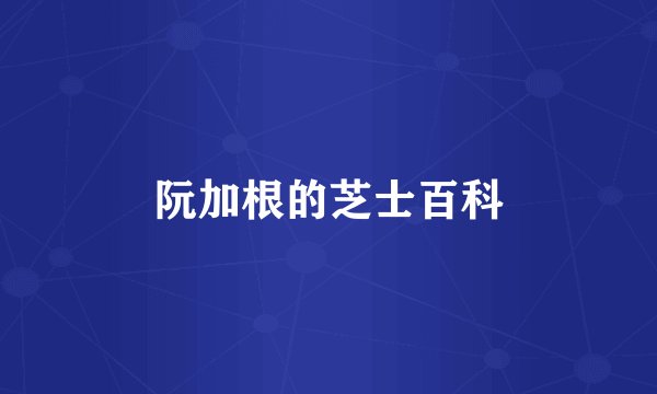 阮加根的芝士百科