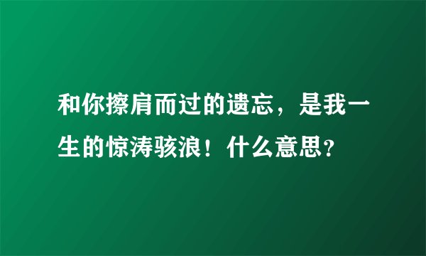 和你擦肩而过的遗忘,是我一生的惊涛骇浪!什么意思?