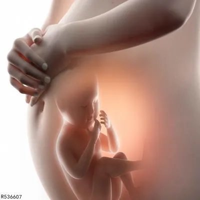 孕妇能吃桂圆吗 孕妇初期要慎吃桂圆