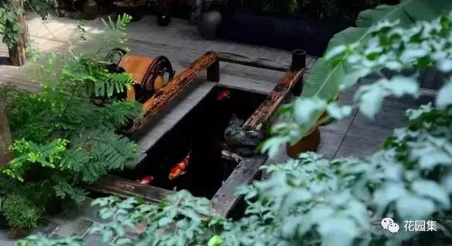 纯天然庭院鱼池打造攻略,生态、省心又实惠!赶紧收藏