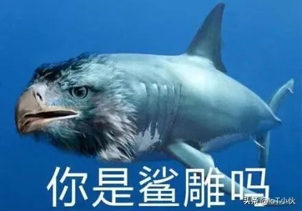 情侣半裸裹床单睡斑马线拍婚纱照,拿生命当儿戏,你有何看法?