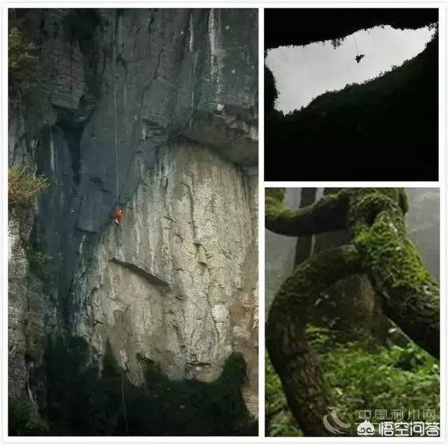 湖北哪里有天坑?